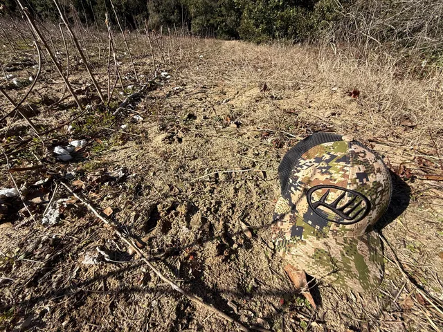 $160,000 | 0 Barnwell Street, Springfield, SC 29146