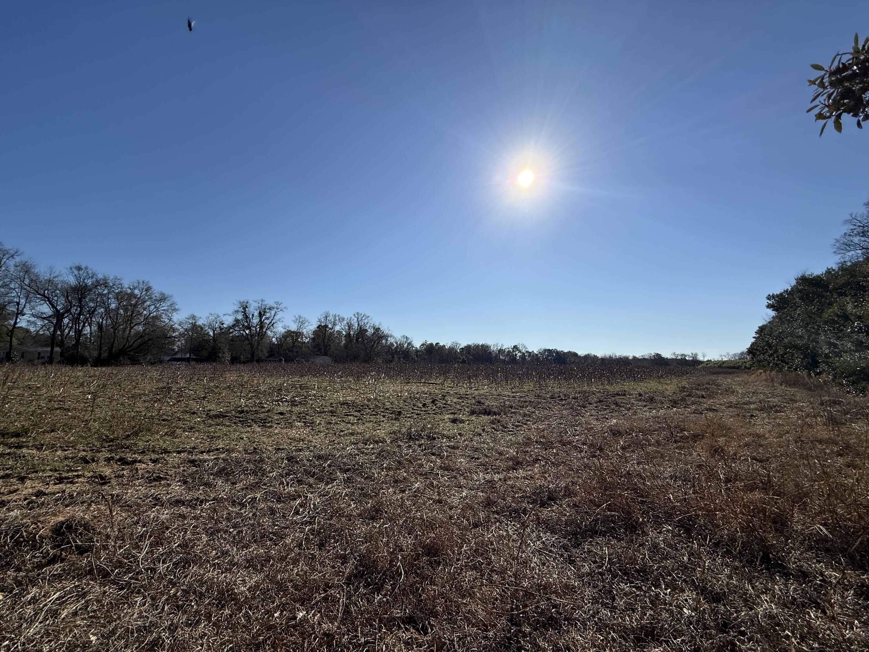 0 Barnwell Street Springfield, SC 29146 - Photo 23 of 56 IMG_4720