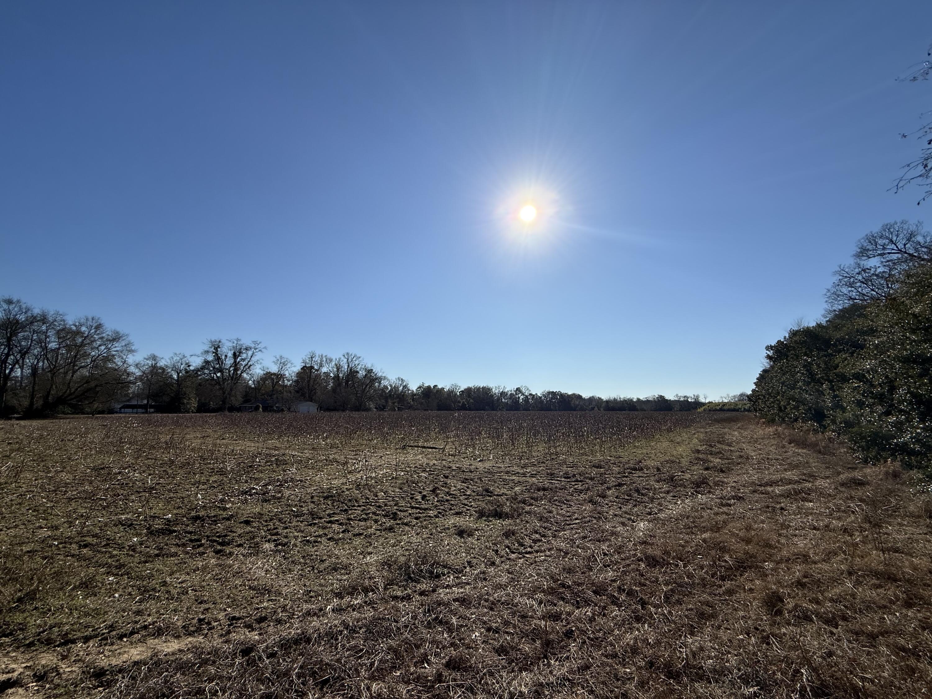 0 Barnwell Street Springfield, SC 29146 - Photo 24 of 56 IMG_4721