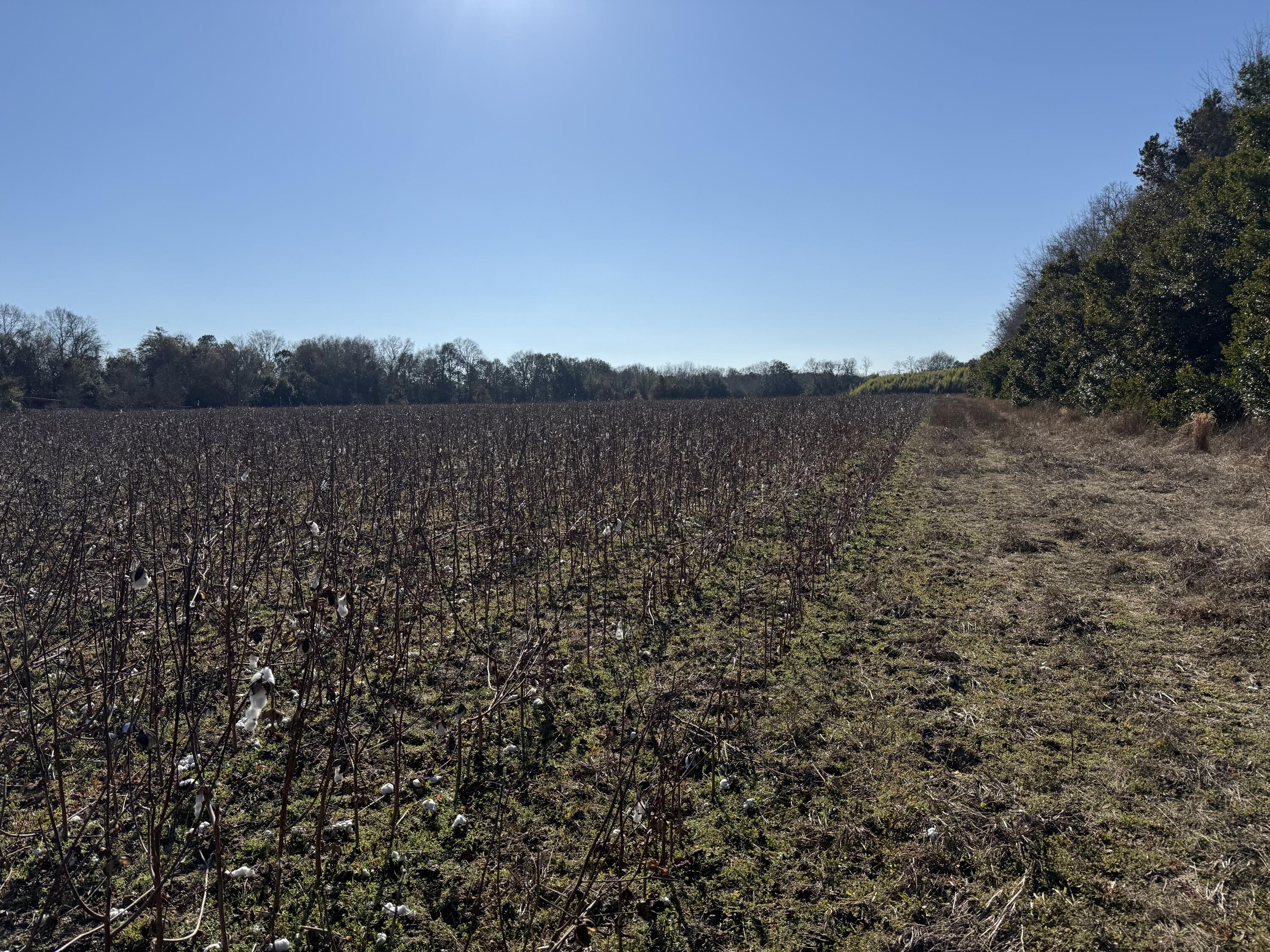 0 Barnwell Street Springfield, SC 29146 - Photo 25 of 56 IMG_4722