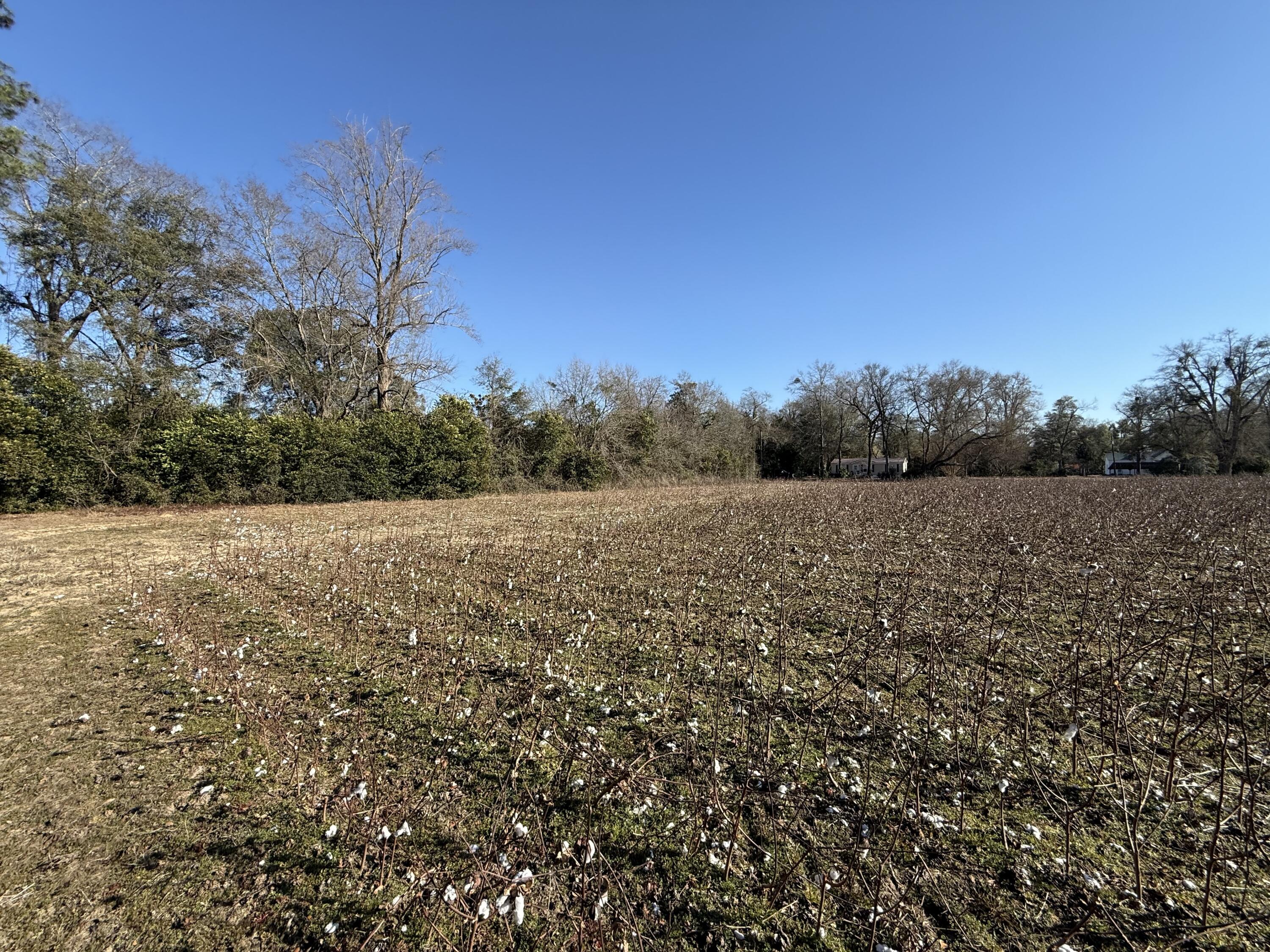 0 Barnwell Street Springfield, SC 29146 - Photo 26 of 56 IMG_4723