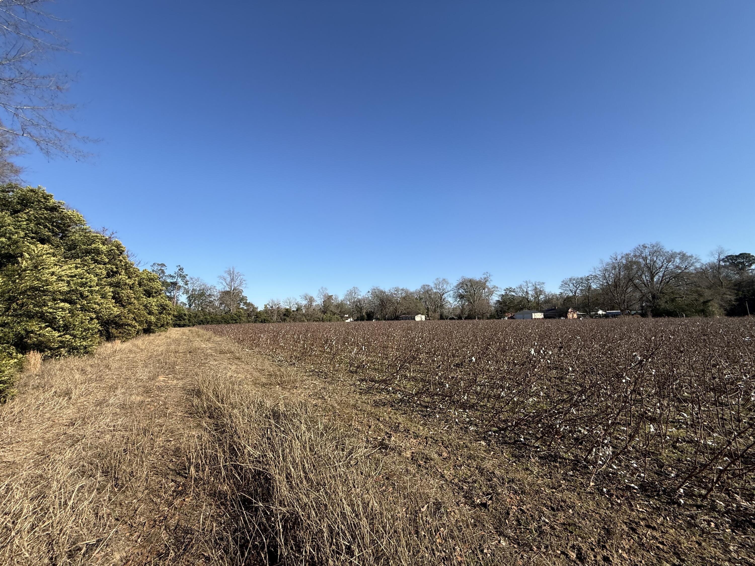 0 Barnwell Street Springfield, SC 29146 - Photo 28 of 56 IMG_4725
