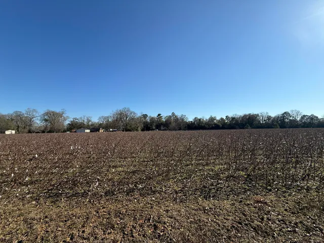 $160,000 | 0 Barnwell Street, Springfield, SC 29146