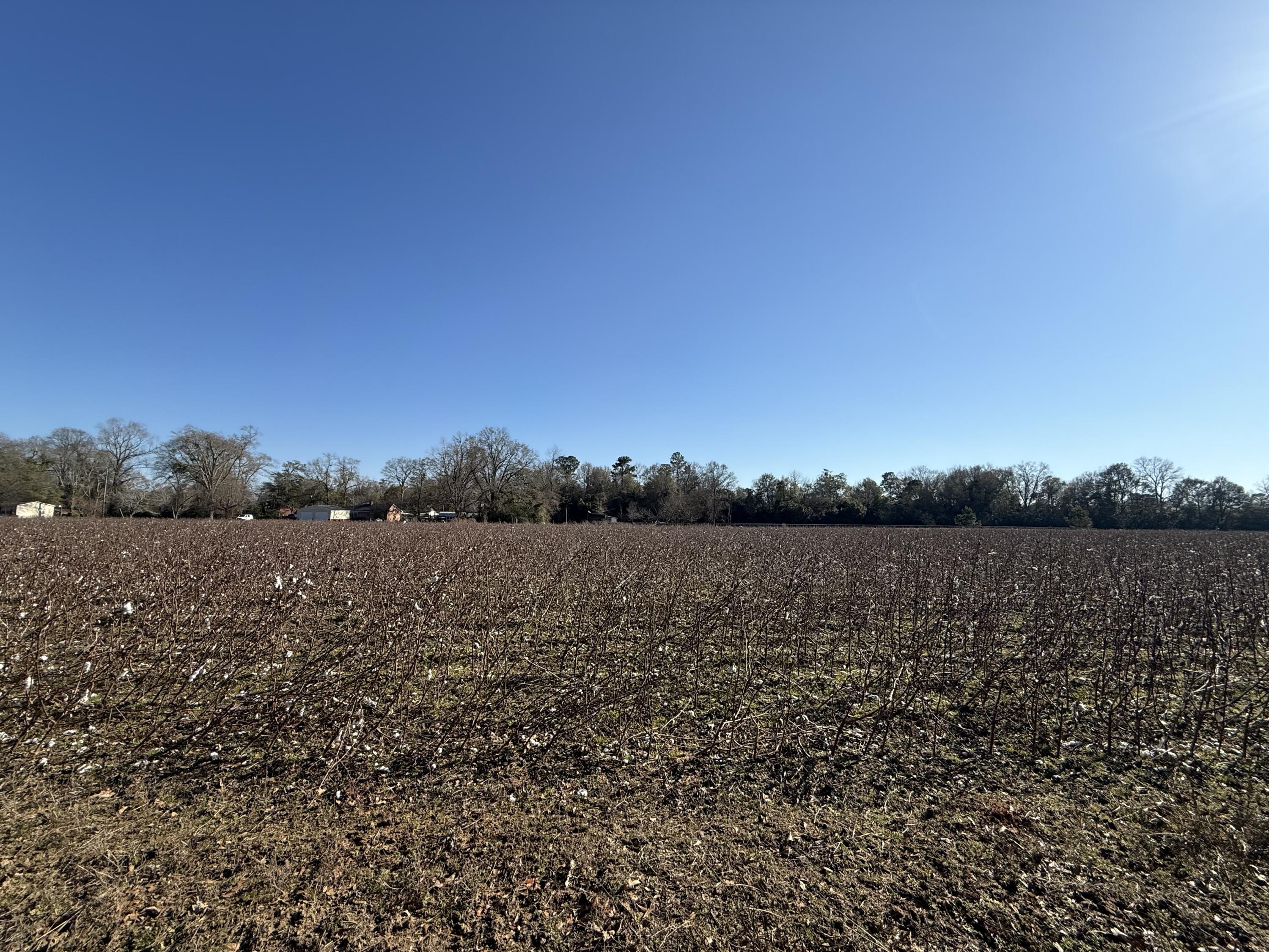 0 Barnwell Street Springfield, SC 29146 - Photo 30 of 56 IMG_4727