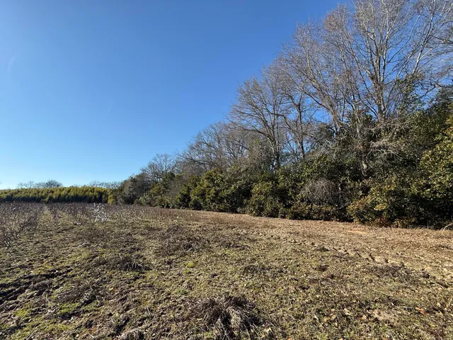 $160,000 | 0 Barnwell Street, Springfield, SC 29146