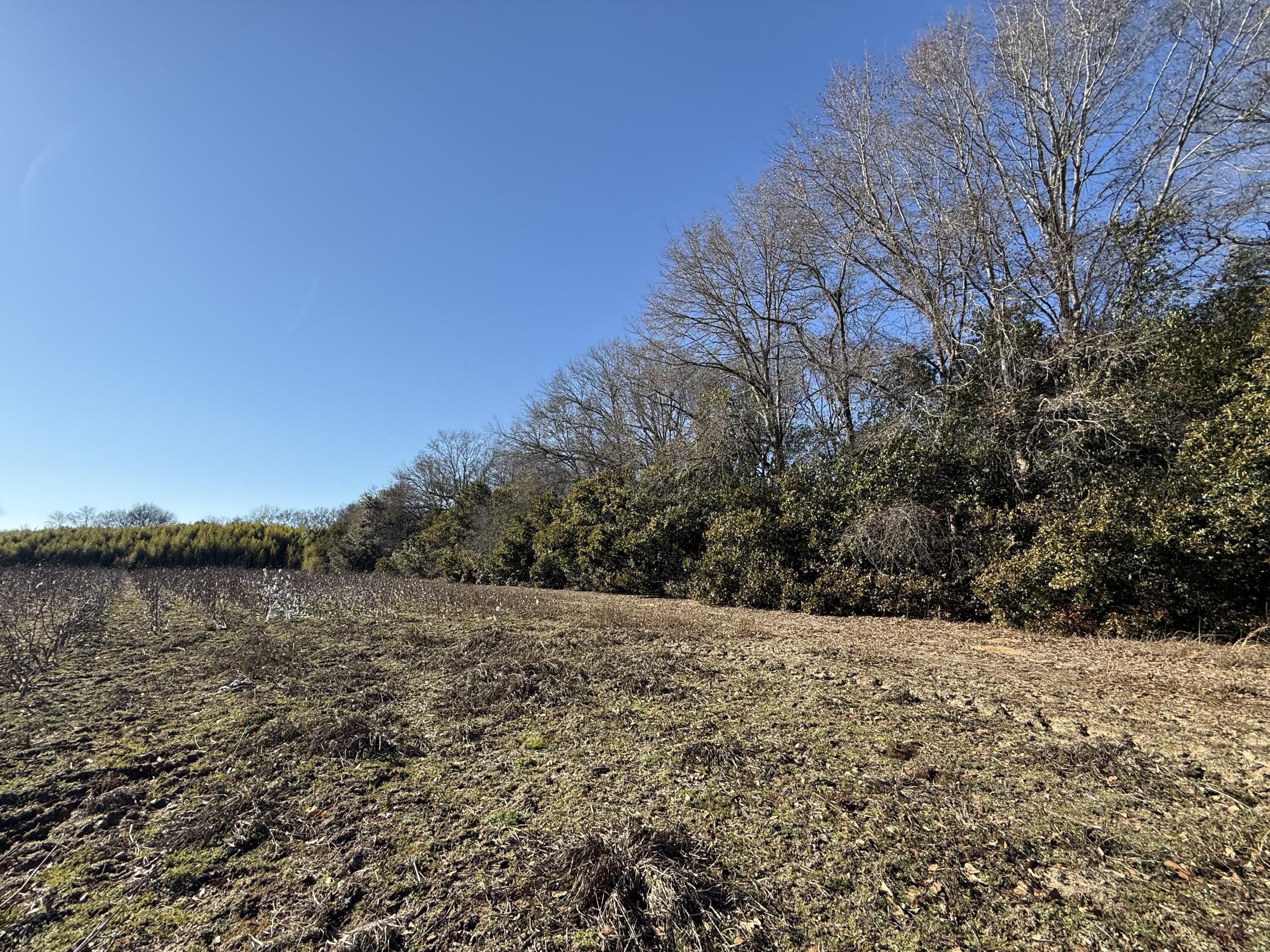 0 Barnwell Street Springfield, SC 29146 - Photo 32 of 56 IMG_4730