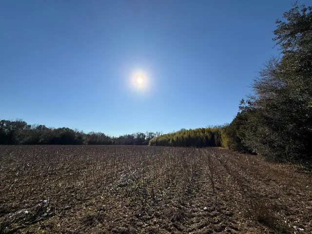 $160,000 | 0 Barnwell Street, Springfield, SC 29146