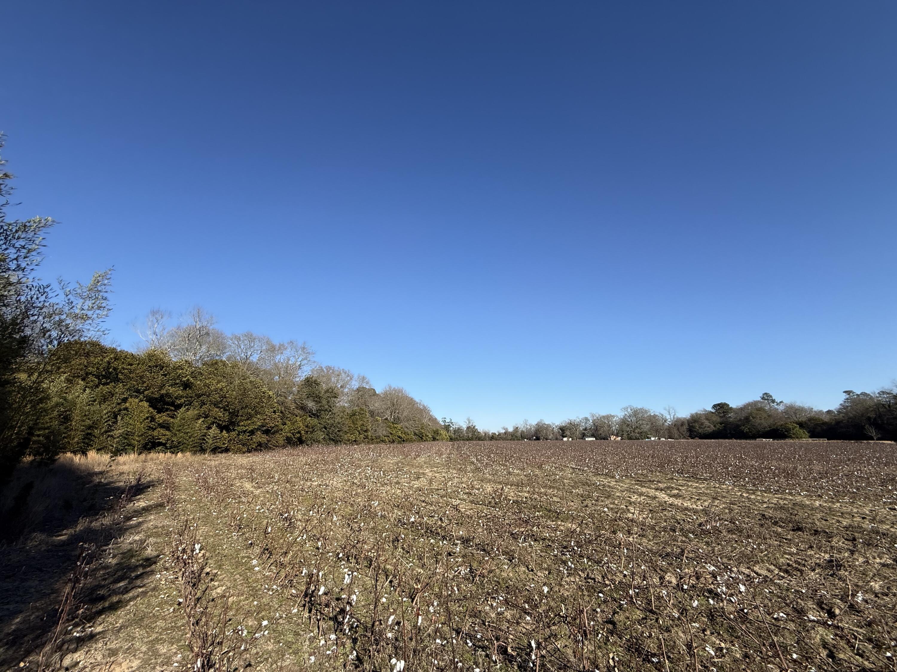 0 Barnwell Street Springfield, SC 29146 - Photo 36 of 56 IMG_4735