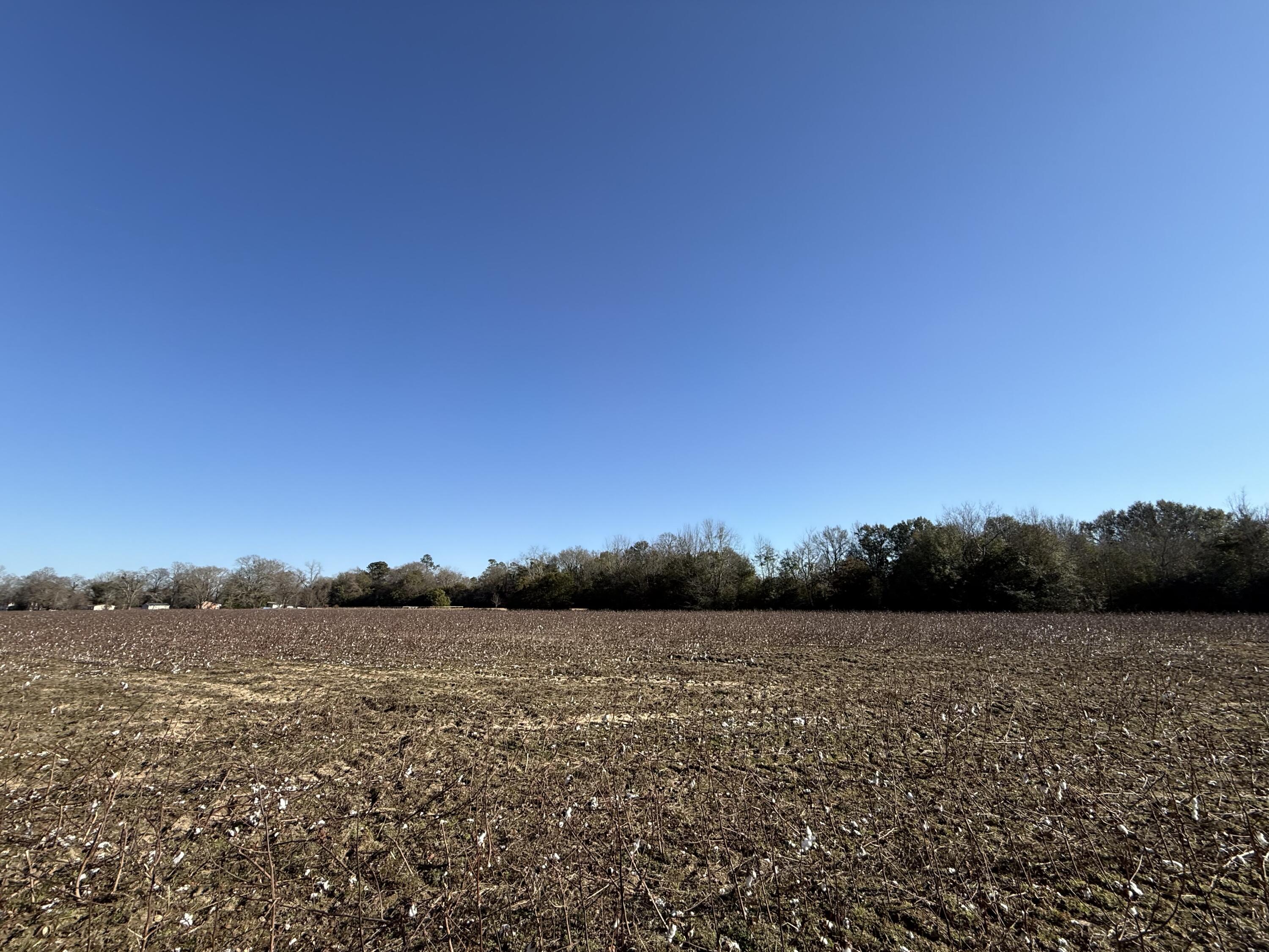 0 Barnwell Street Springfield, SC 29146 - Photo 37 of 56 IMG_4736