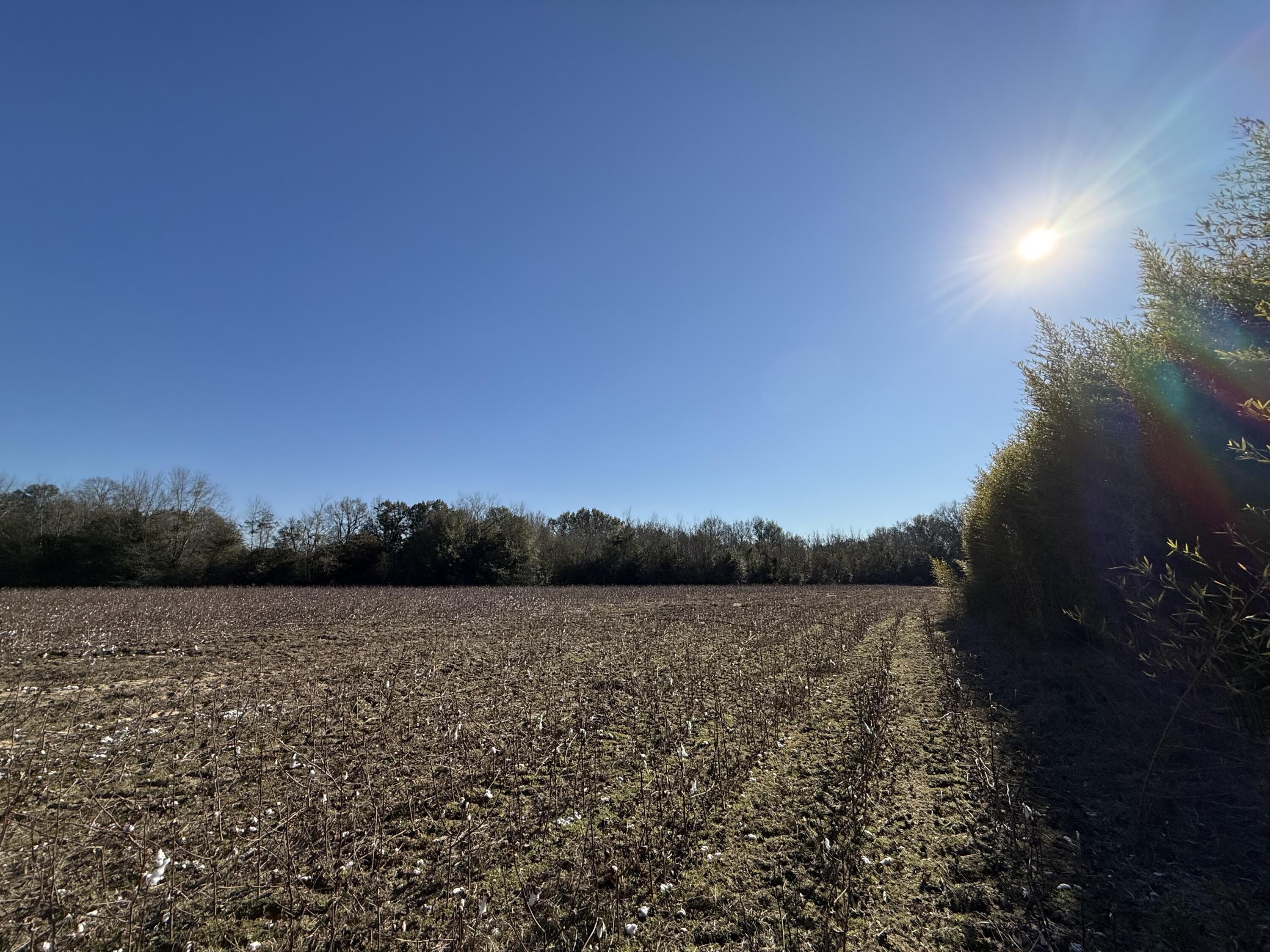 0 Barnwell Street Springfield, SC 29146 - Photo 38 of 56 IMG_4737