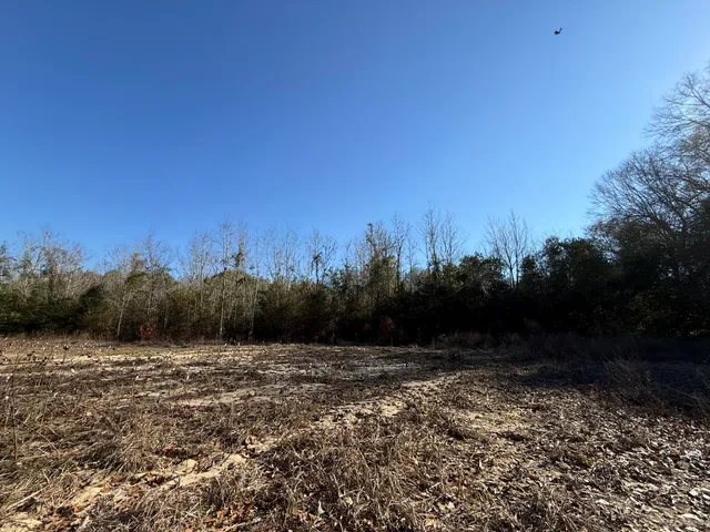 $160,000 | 0 Barnwell Street, Springfield, SC 29146