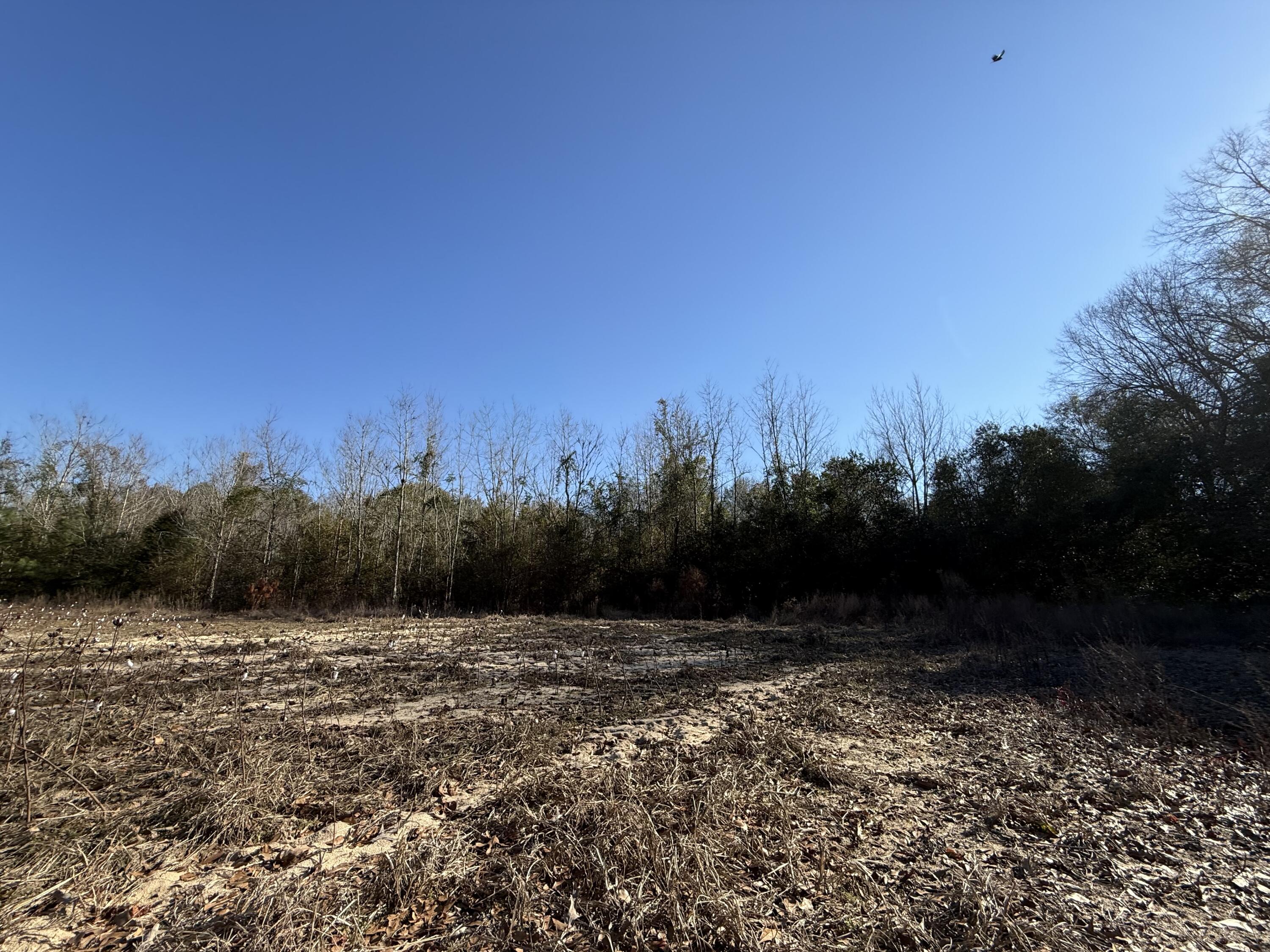 0 Barnwell Street Springfield, SC 29146 - Photo 39 of 56 IMG_4738