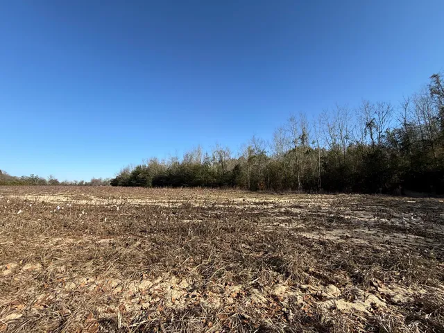 $160,000 | 0 Barnwell Street, Springfield, SC 29146