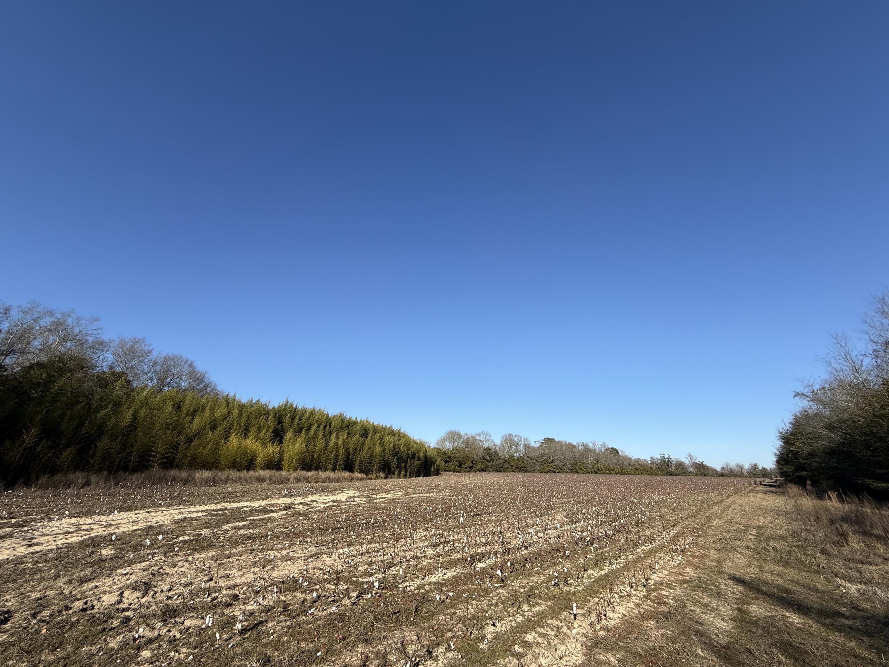 0 Barnwell Street Springfield, SC 29146 - Photo 41 of 56 IMG_4740