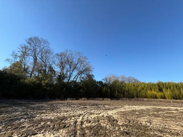 $160,000 | 0 Barnwell Street, Springfield, SC 29146