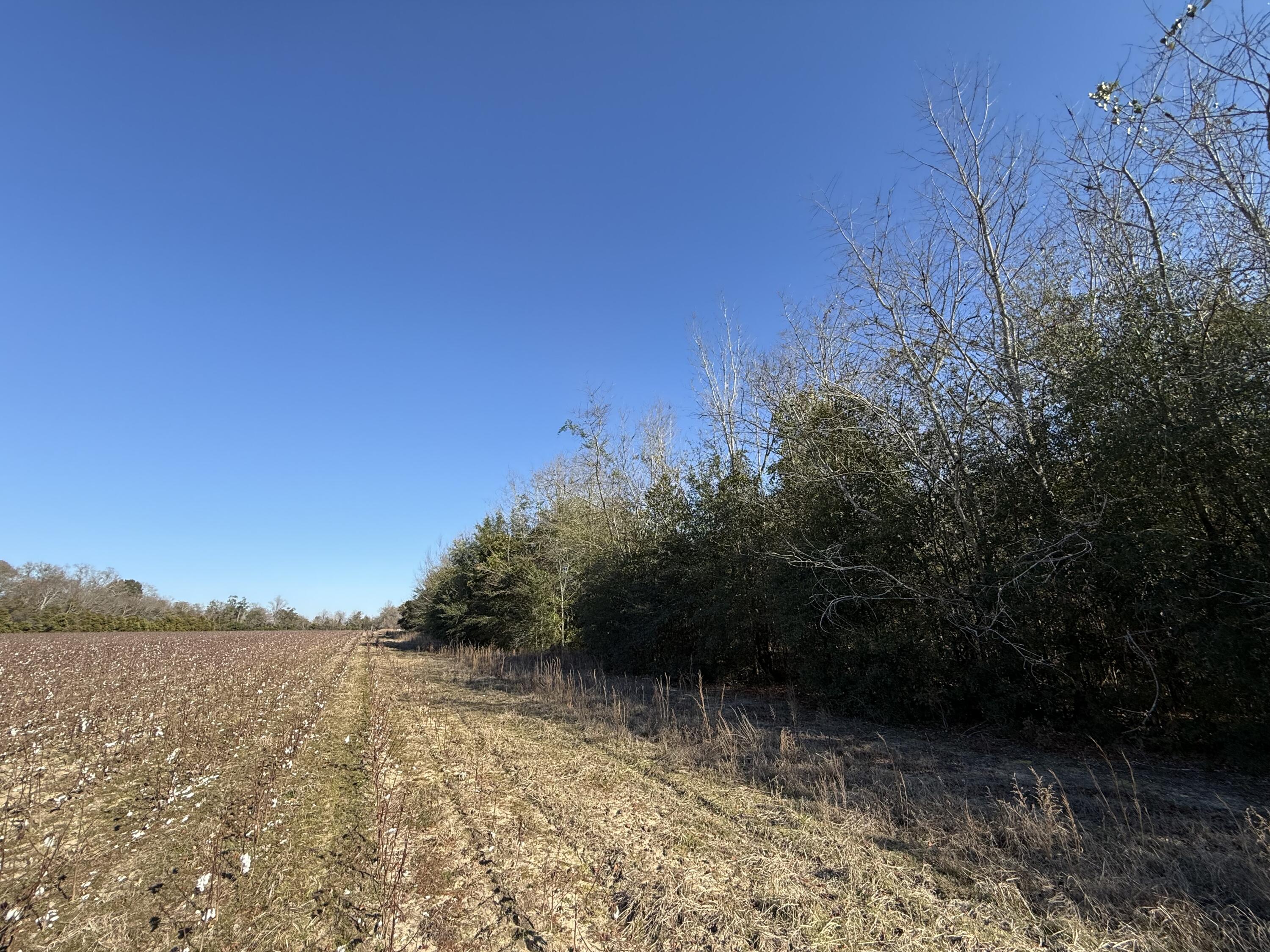 0 Barnwell Street Springfield, SC 29146 - Photo 43 of 56 IMG_4742