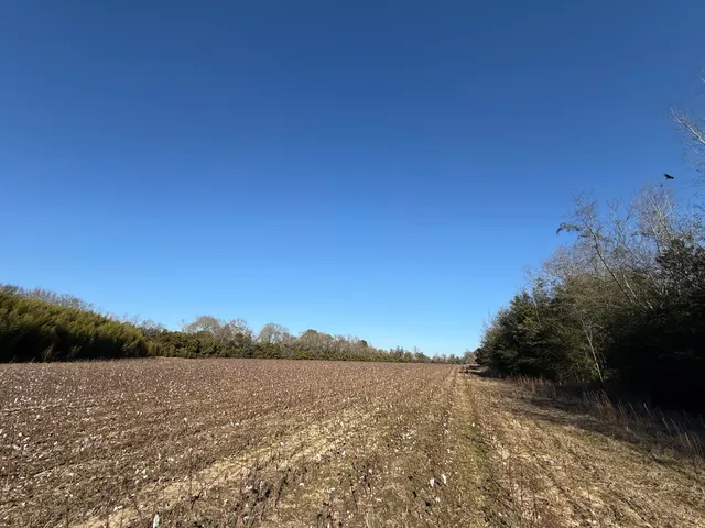 $160,000 | 0 Barnwell Street, Springfield, SC 29146