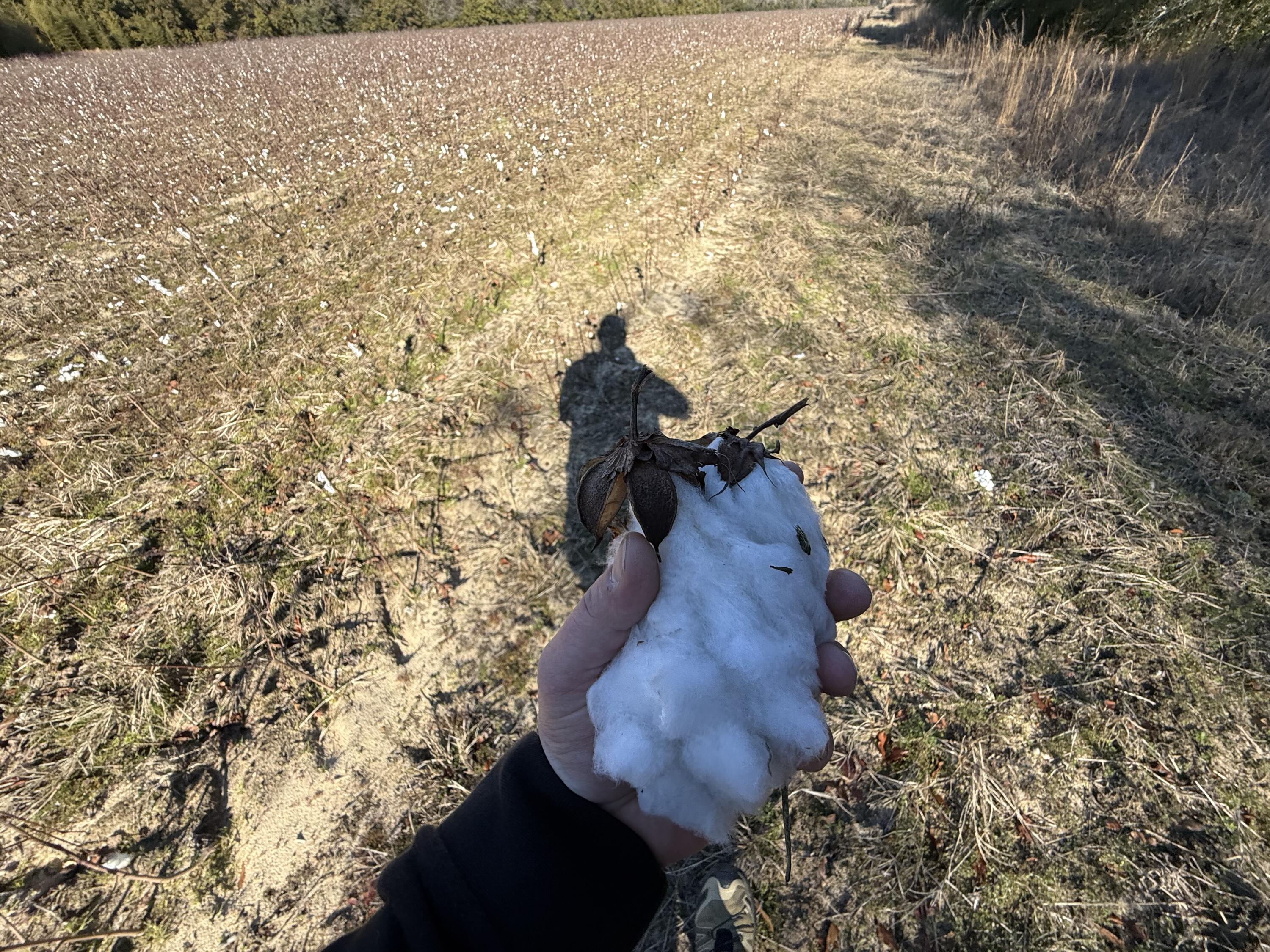 0 Barnwell Street Springfield, SC 29146 - Photo 45 of 56 IMG_4744