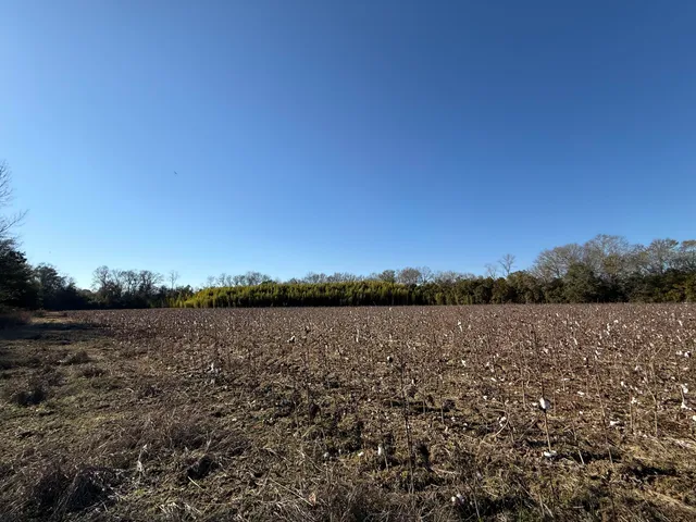 $160,000 | 0 Barnwell Street, Springfield, SC 29146