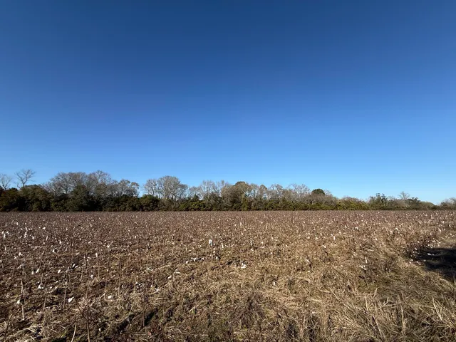 $160,000 | 0 Barnwell Street, Springfield, SC 29146