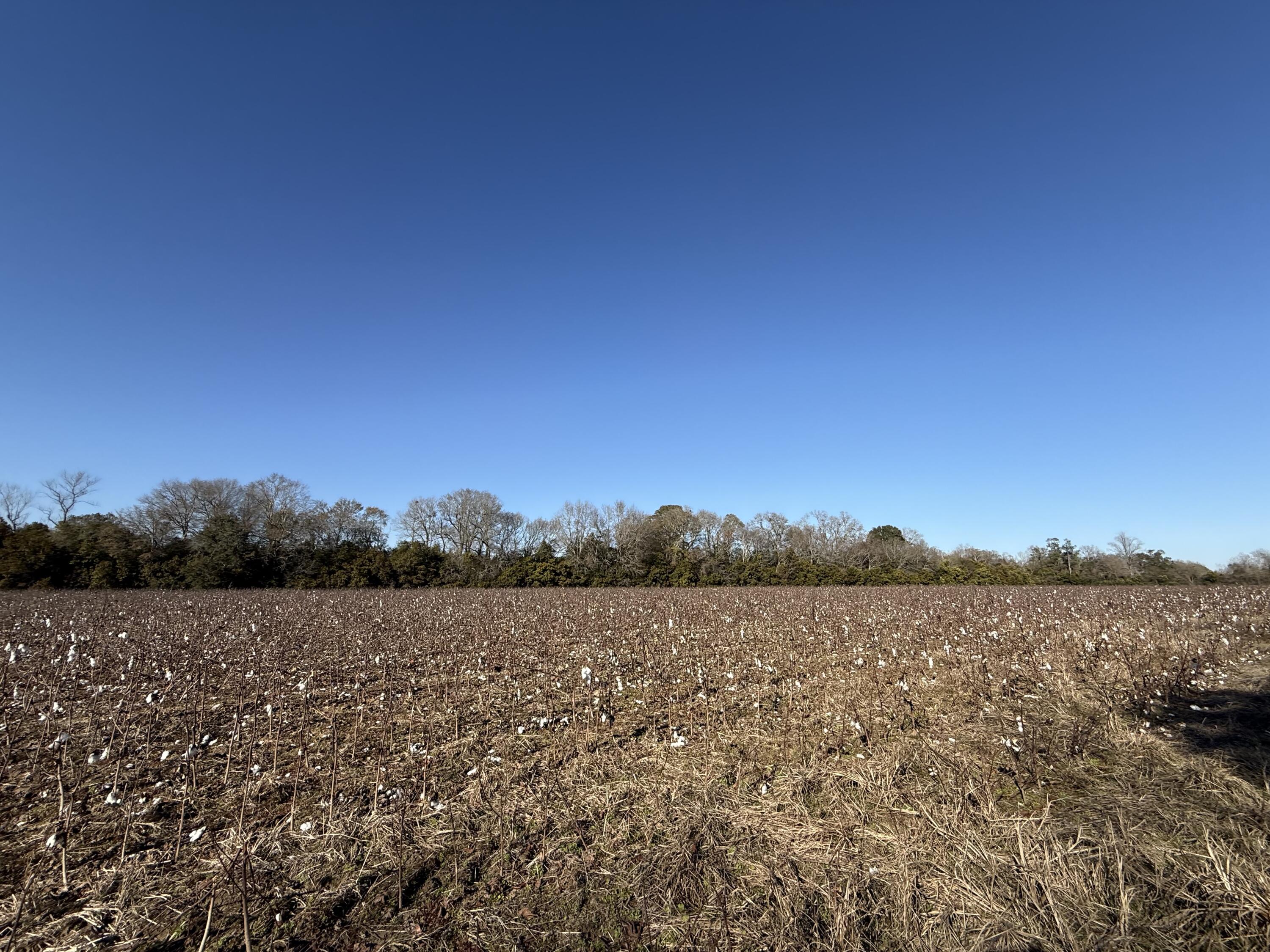 0 Barnwell Street Springfield, SC 29146 - Photo 47 of 56 IMG_4746