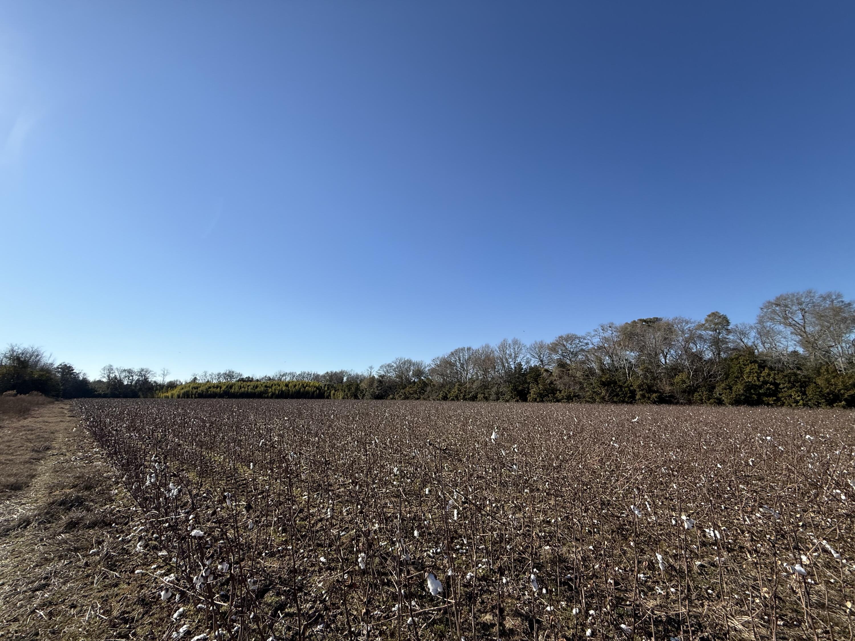 0 Barnwell Street Springfield, SC 29146 - Photo 48 of 56 IMG_4747