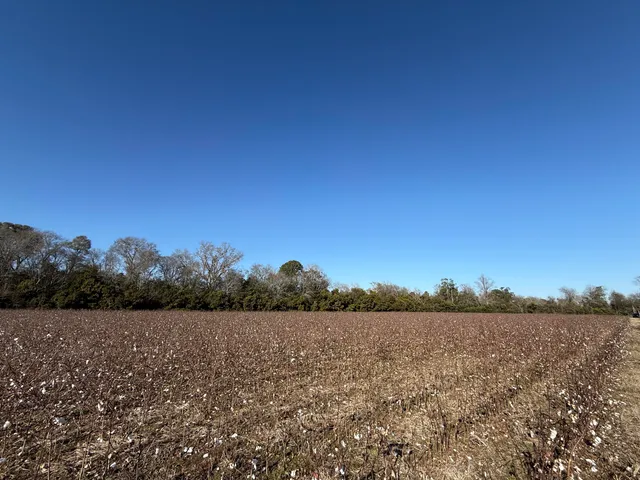 $160,000 | 0 Barnwell Street, Springfield, SC 29146