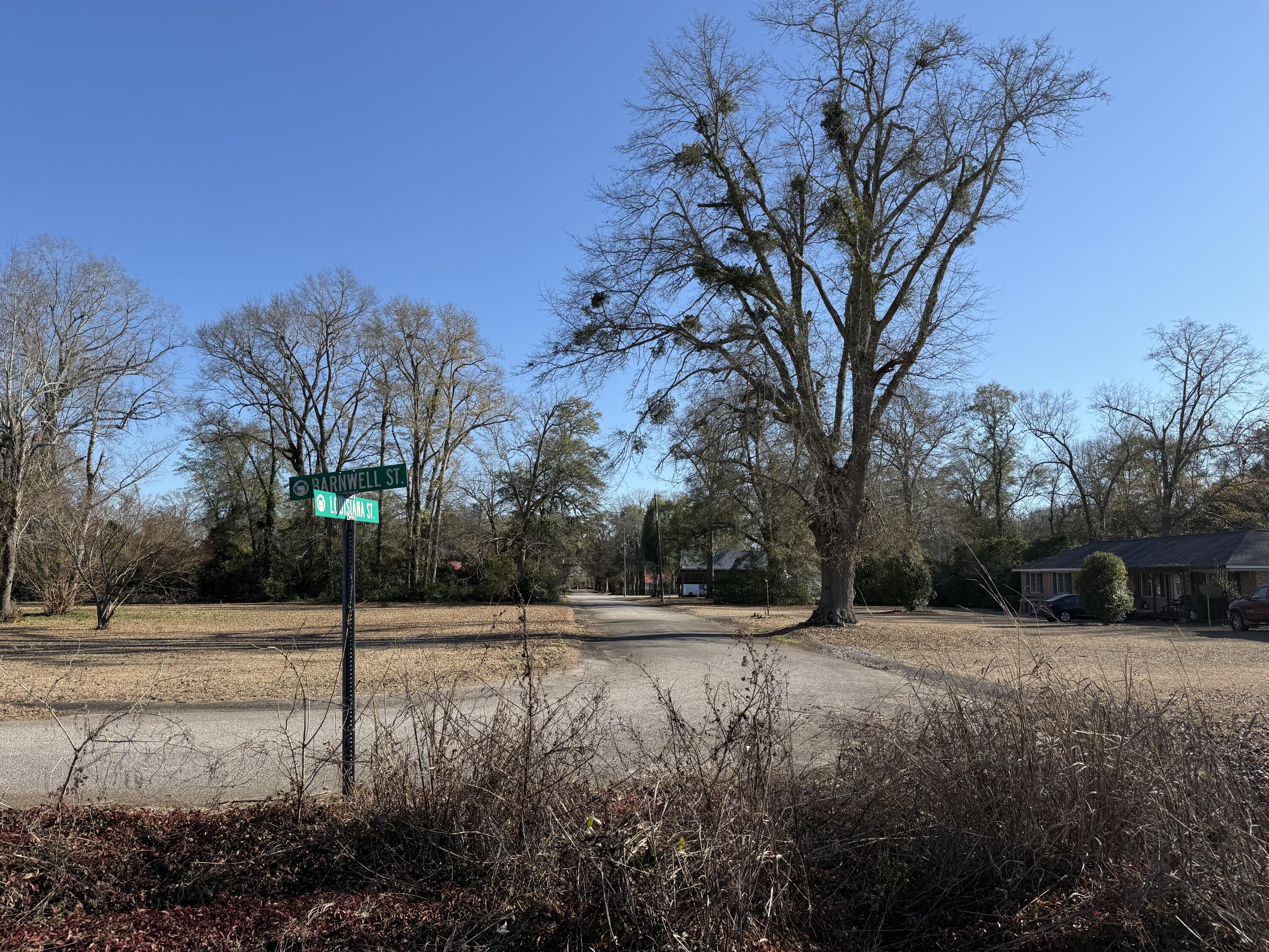 0 Barnwell Street Springfield, SC 29146 - Photo 53 of 56 IMG_4752