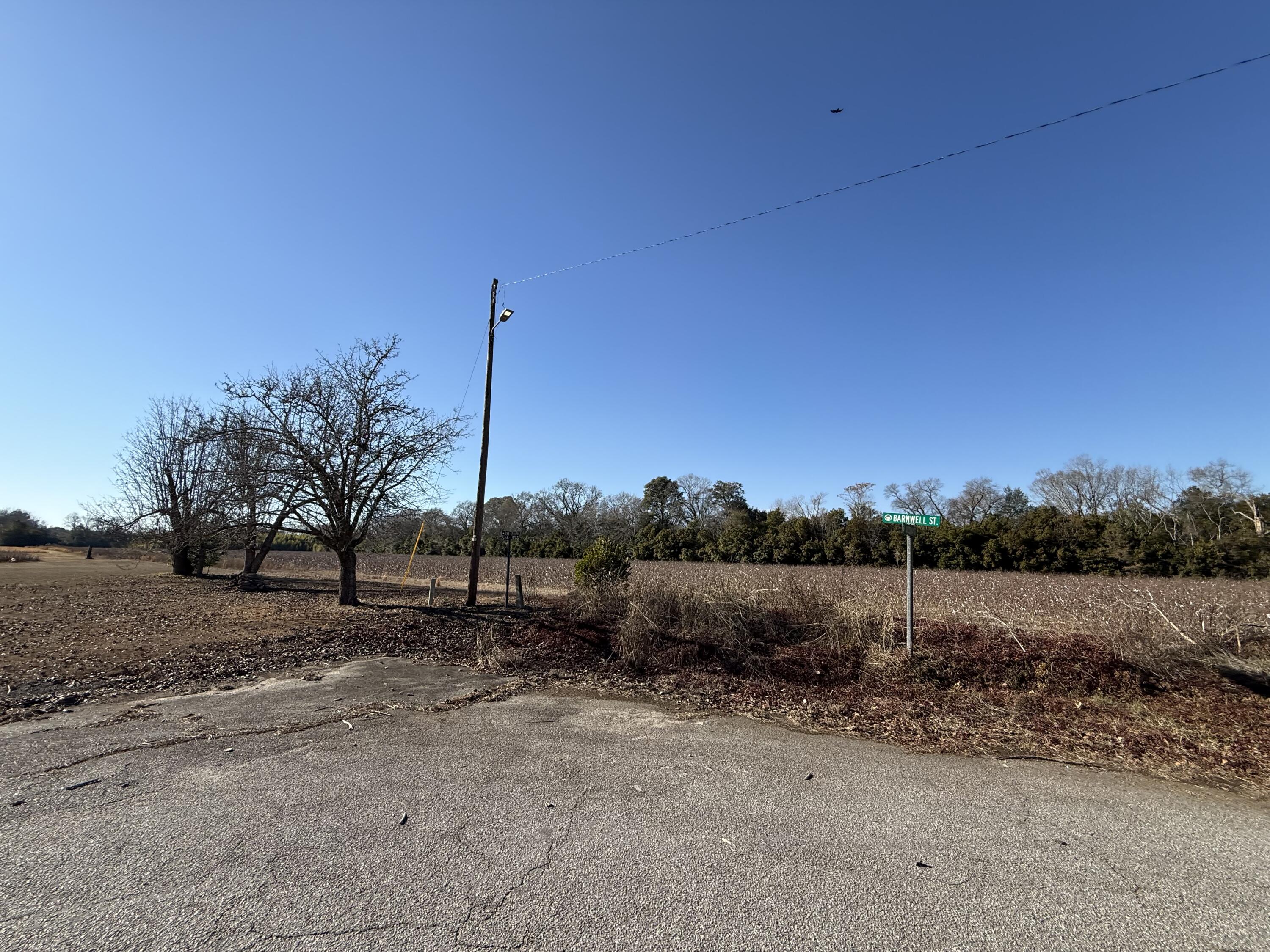 0 Barnwell Street Springfield, SC 29146 - Photo 55 of 56 IMG_4754