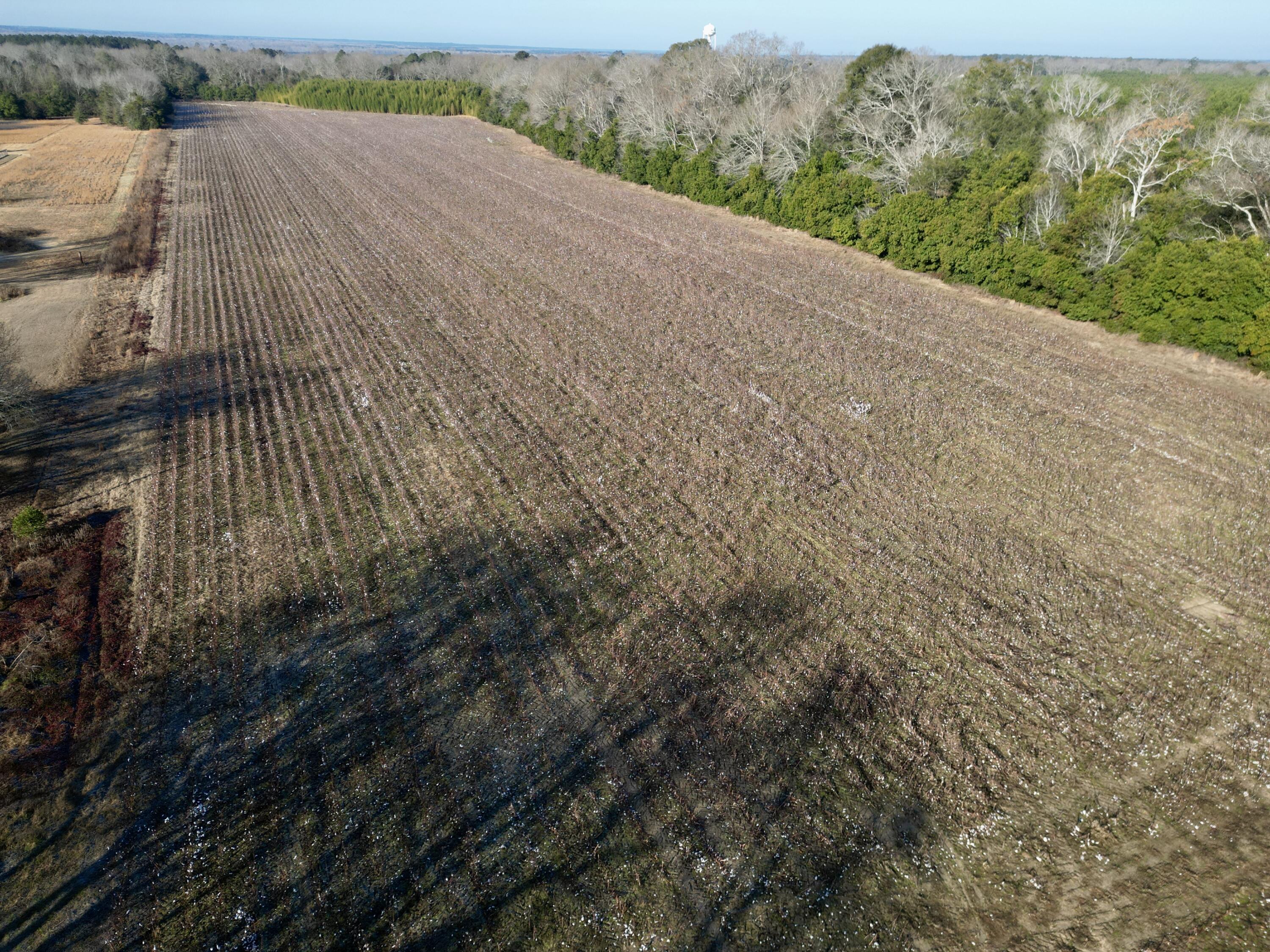 0 Barnwell Street Springfield, SC 29146 - Photo 7 of 56 7