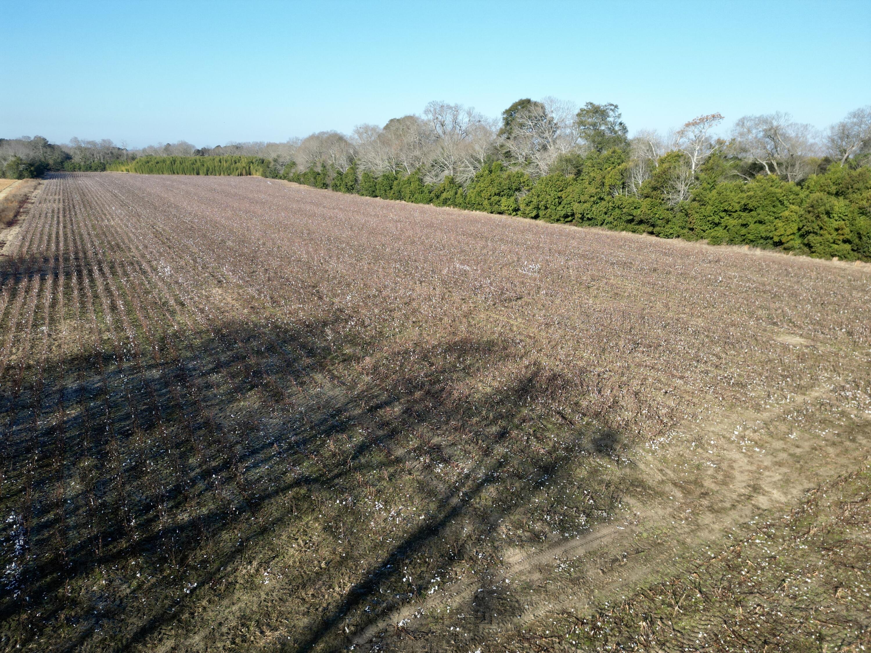 0 Barnwell Street Springfield, SC 29146 - Photo 8 of 56 8