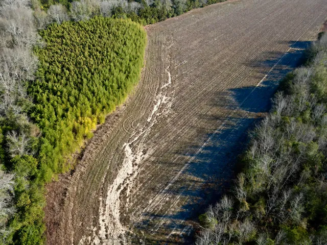 $160,000 | 0 Barnwell Street, Springfield, SC 29146