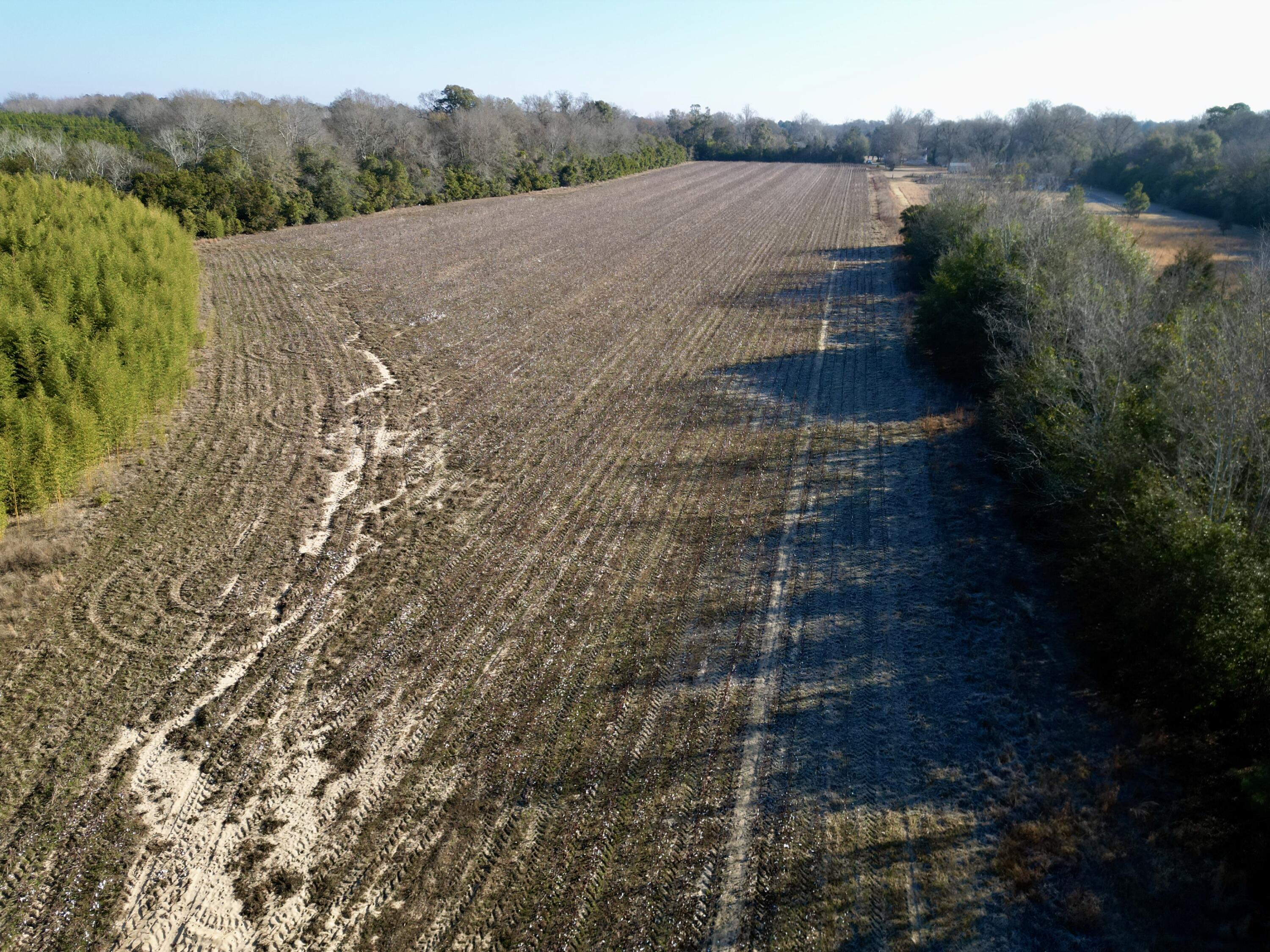 0 Barnwell Street Springfield, SC 29146 - Photo 10 of 56 10