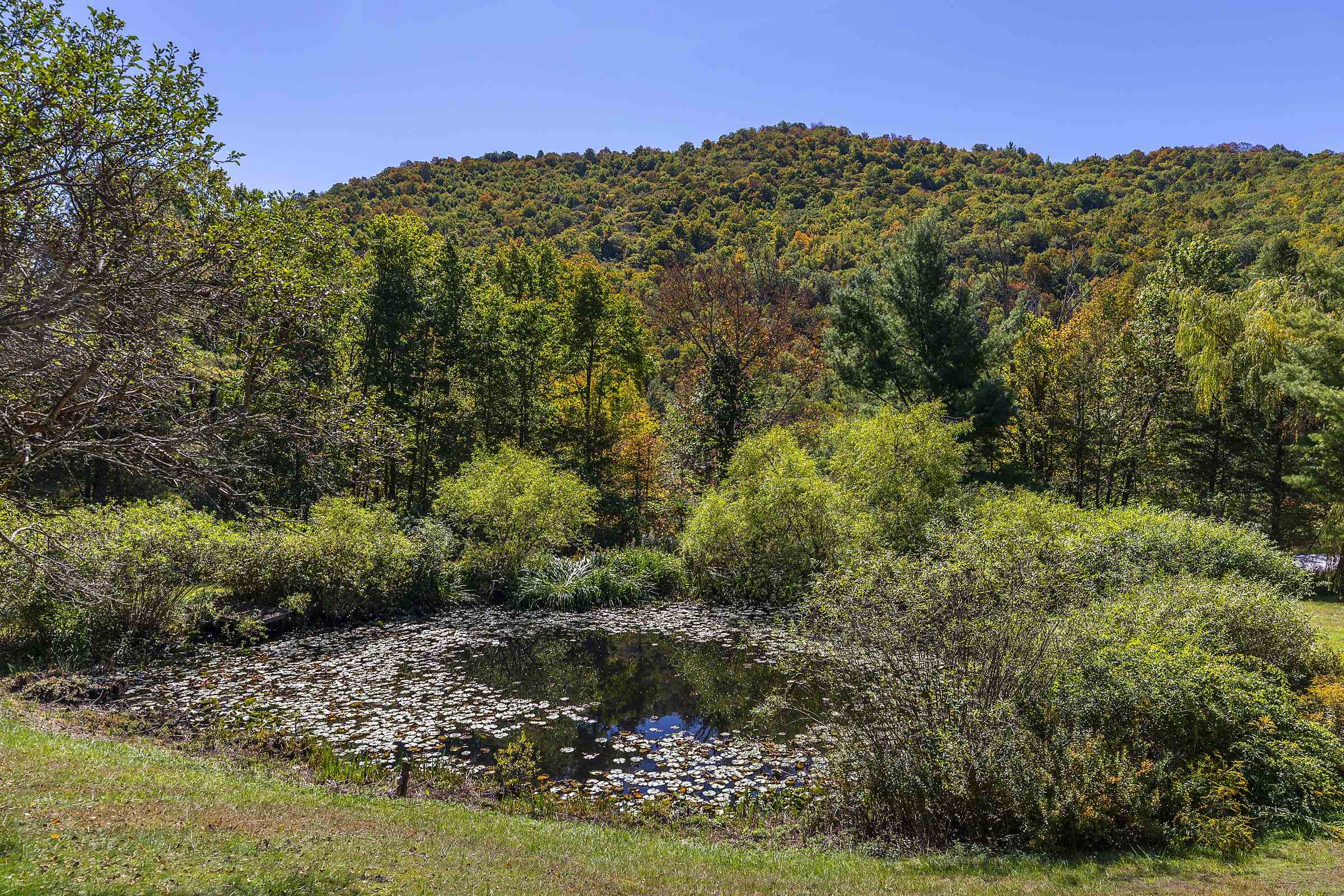 1098 West Sandgate Road Sandgate, VT 05250 - Photo 3 of 58