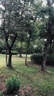 73311 Pruden Road Covington, LA 70435 - Photo 13 of 18 Gallery Image 13