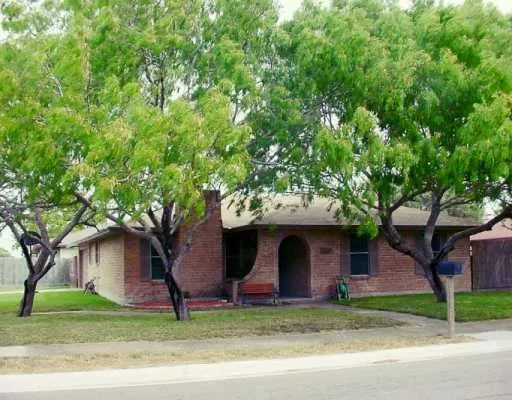a view of a yard in front of a house with large tree and plants