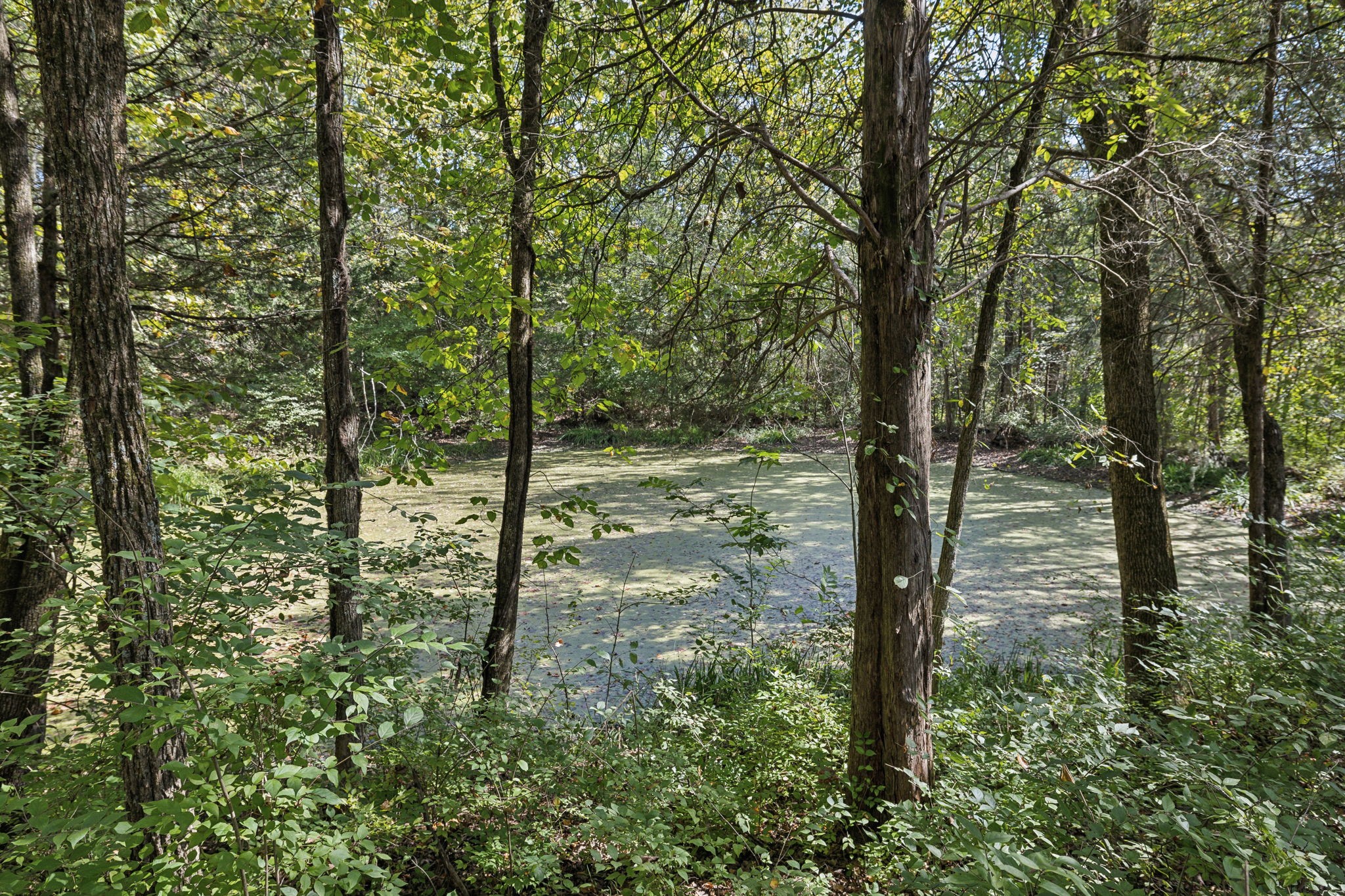 844 Liberty Chapel Road Mount Juliet, TN 37122 - Photo 47 of 60 Gallery Image 47