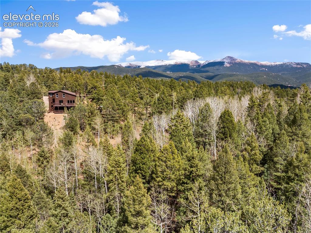 265 Homestead Road Divide, CO 80814 - Photo 50 of 50
