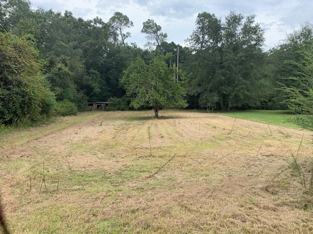0 Perdido Street Atmore, AL 36502 - Photo 1 of 3