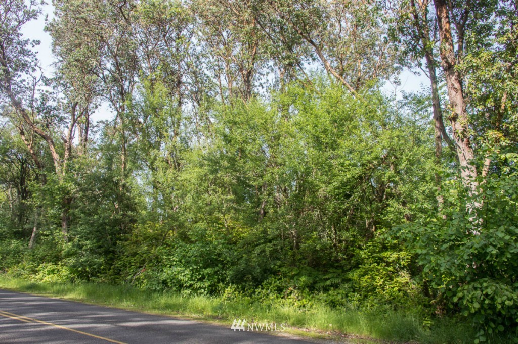 199-xx Ridge Road Southwest Vashon, WA 98070 - Photo 3 of 5 Gallery Image 3