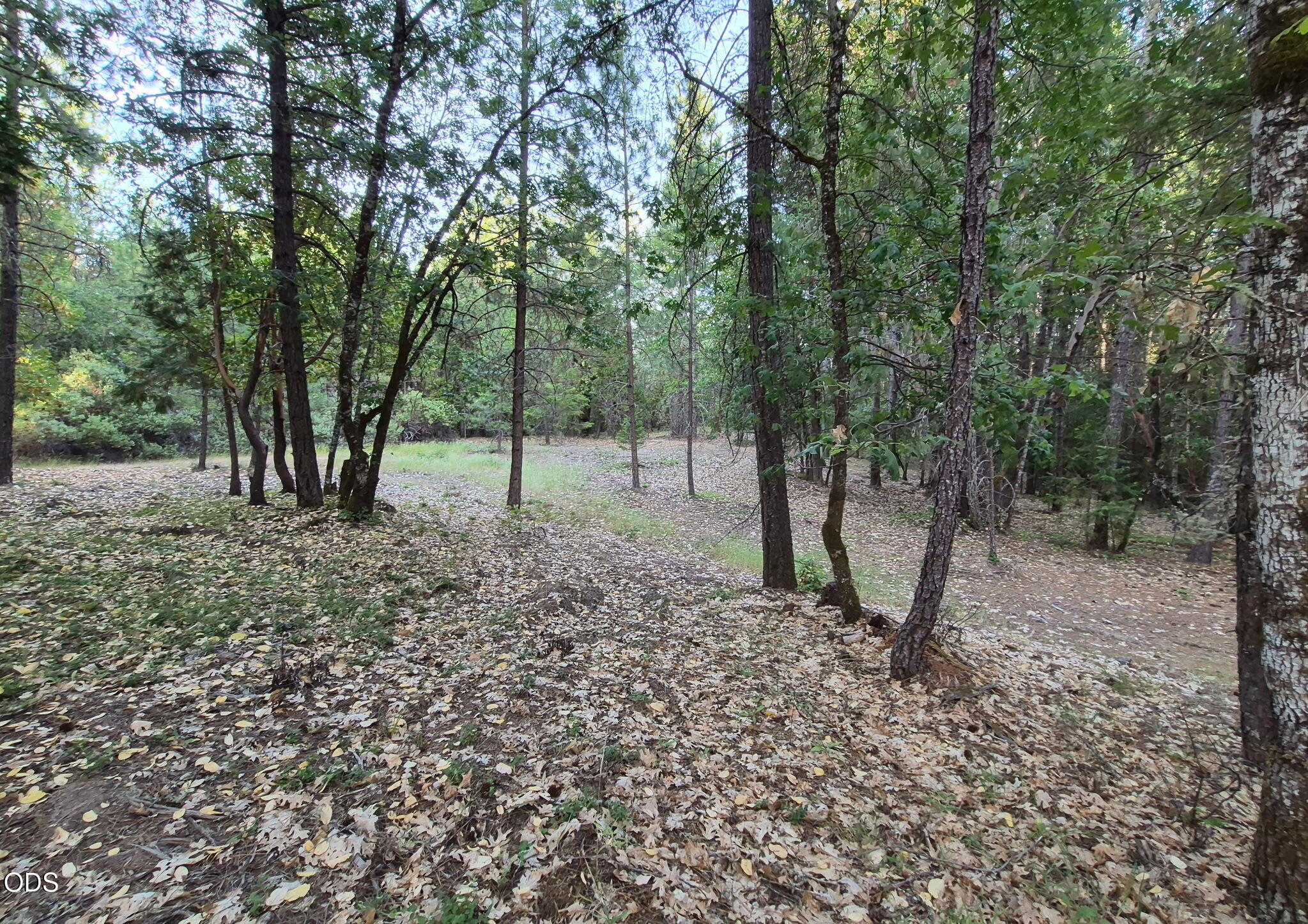 1281 North Pinnon Road Grants Pass, OR 97526 - Photo 44 of 55