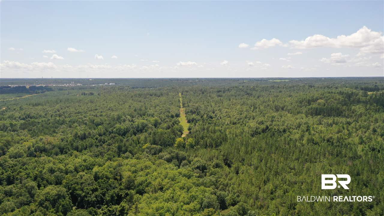 0 Highway 4 Jay, FL 32565 - Photo 47 of 50