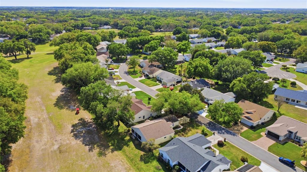 4644 River Ridge Drive Leesburg, FL 34748 - Photo 46 of 55