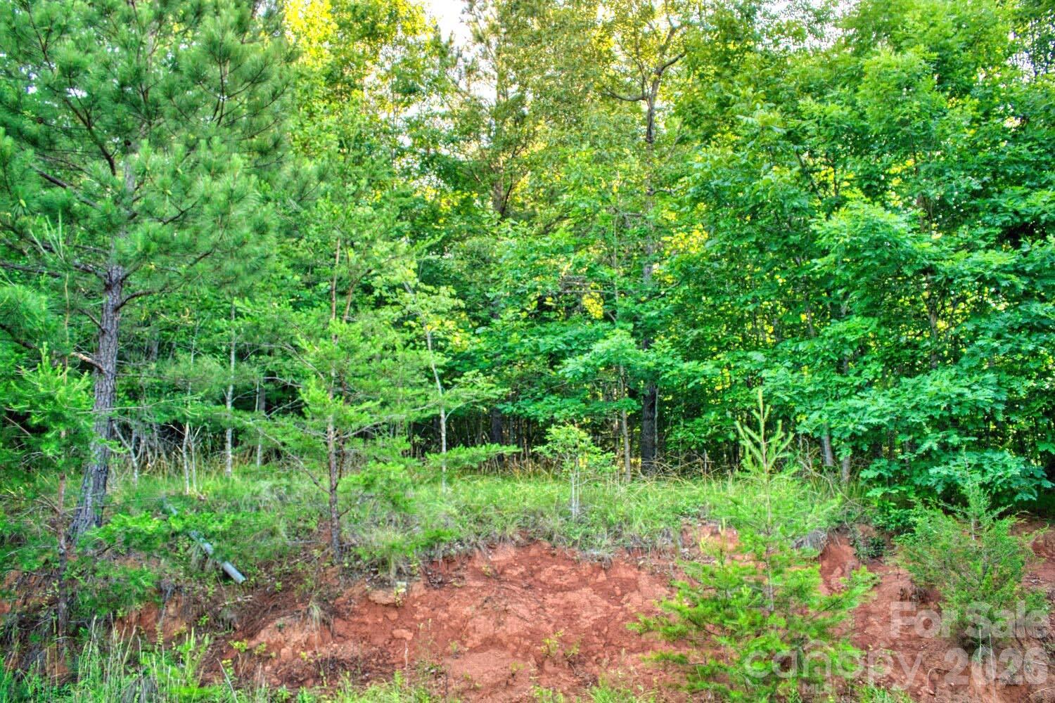 0 Cross Creek Drive, Unit 68 Rutherfordton, NC 28139 - Photo 3 of 3