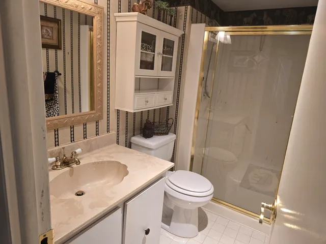 a bathroom with a sink a toilet and shower