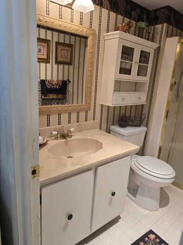 a bathroom with a sink toilet and mirror