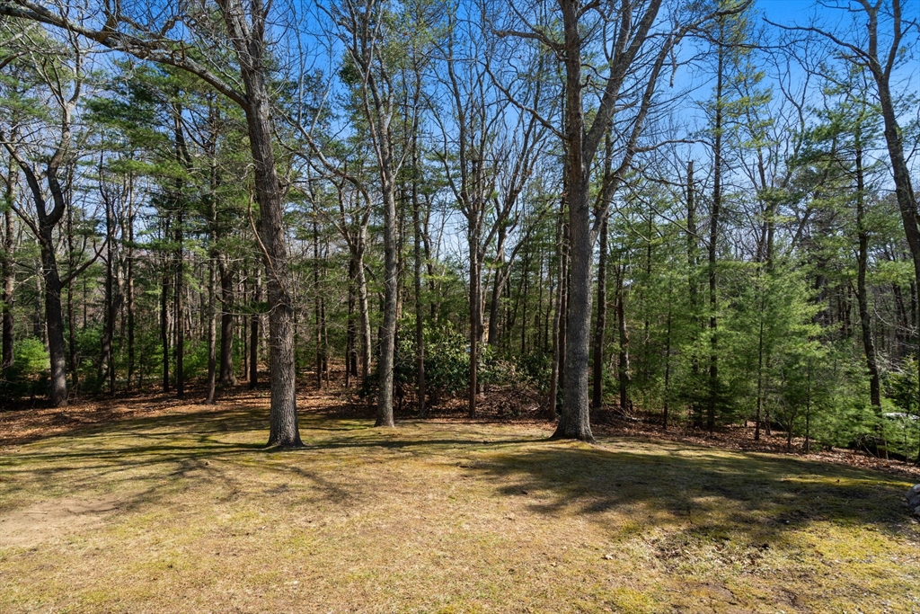 31 James Road Duxbury, MA 02332 - Photo 26 of 29