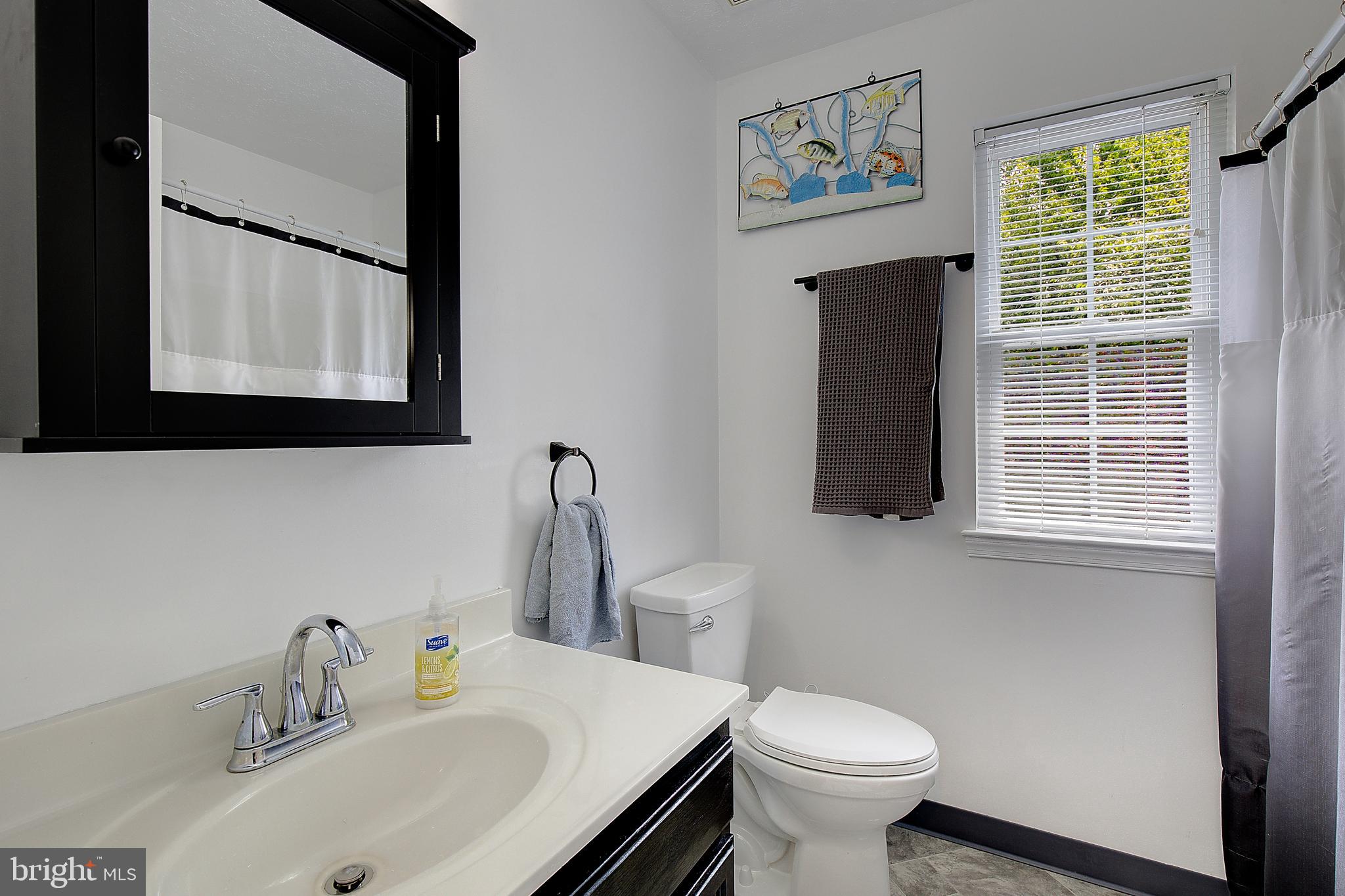 12424 Hisperia Road Lusby, MD 20657 - Photo 29 of 50 Hall bath