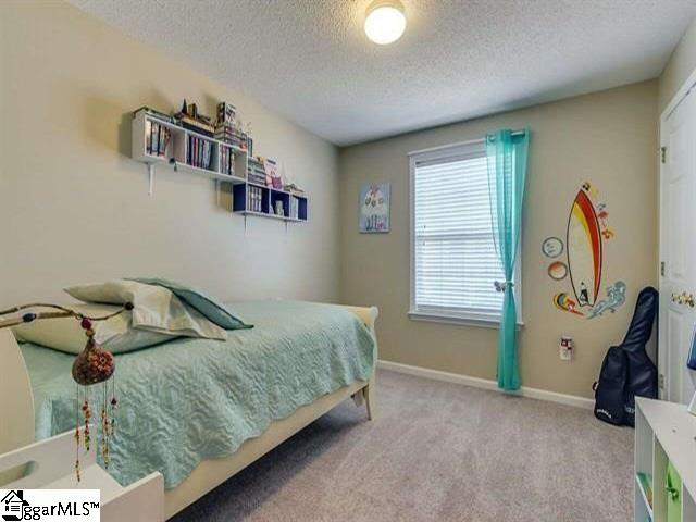 202 Pelham Square Way Greer, SC 29650 - Photo 12 of 20 Gallery Image 12