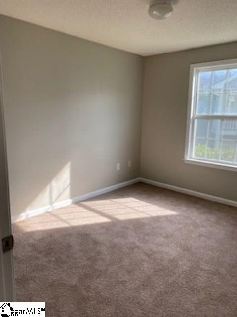 202 Pelham Square Way Greer, SC 29650 - Photo 15 of 20 Gallery Image 15
